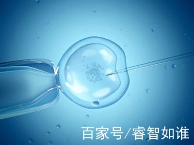 胚胎操作
